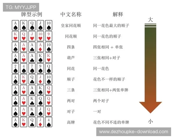 新手必读的德州牌扑克玩法指南让你轻松熟悉每个游戏环节与策略